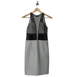 SACHIN + BABI Convergence Sleeveless Mesh Mixed Media Sheath Dress Size 2